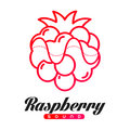 raspberrymusic image