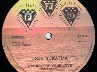 Use Susatma "Waiting For Your Love" 12" VINYL main photo