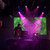 organism thumbnail