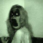 spinalfarm thumbnail