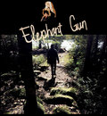 Elephant Gun image