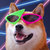 Bandcamp profile picture for @joust