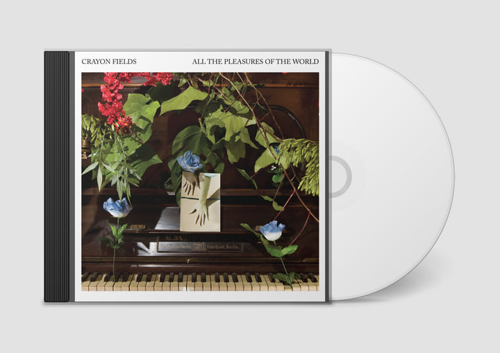 All the Pleasures Of the World - Deluxe Reissue | Crayon Fields
