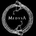 MEDVSA image