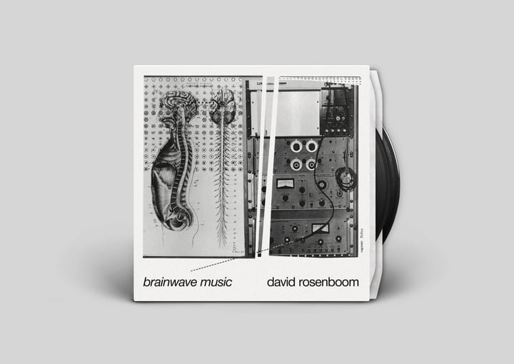 David Rosenboom Brainwave Music CD国内盤 Brainwave Music | David Rosenboom | Black Truffle