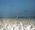 Scarecrow Cinema image