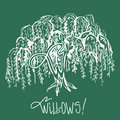 Willows image