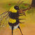 kingofthebees thumbnail
