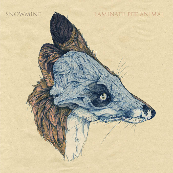 Album of the Week Laminate Pet Animal Bandcamp Daily