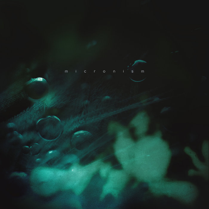 Album of the Day: Micronism, “Inside a Quiet Mind” | Bandcamp Daily