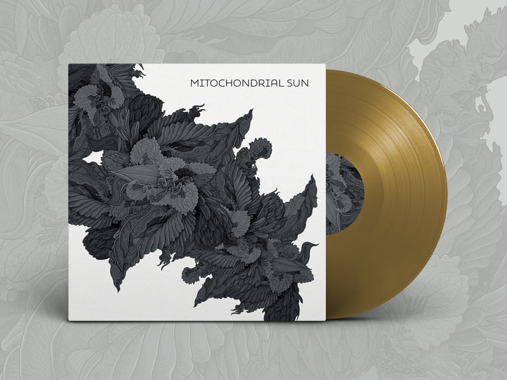 Mitochondrial Sun | Mitochondrial Sun