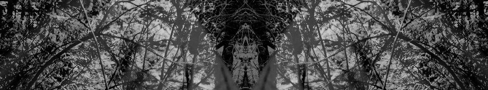Digital Ethos — Photo