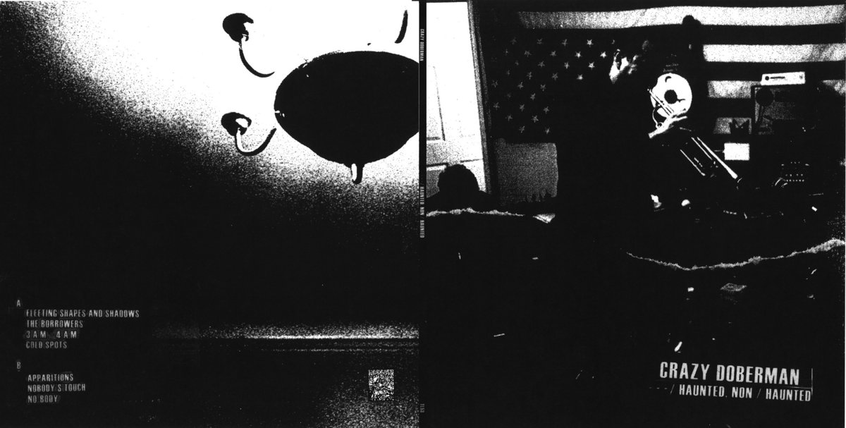 Haunted, Non / Haunted | Crazy Doberman | Torn Light