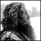 Fjelleiner thumbnail