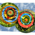 art-x- thumbnail