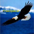 FreeSpacer image