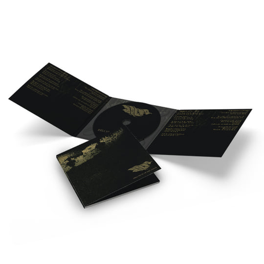 Delusion Of Negation | Zolfo | Spikerot Records