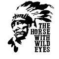 THE HORSE WITH WILD EYES image