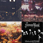 Viaje De Luz Tobogan Andaluz viaje de luz tobogan andaluz