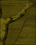 Rope Sect image