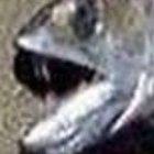 ainaki100 thumbnail