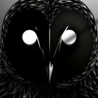 argyle owl thumbnail