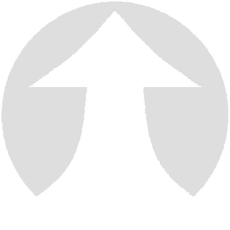 The Great Glass Elevator Glass Elevator