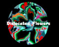 Dislocated Flowers image