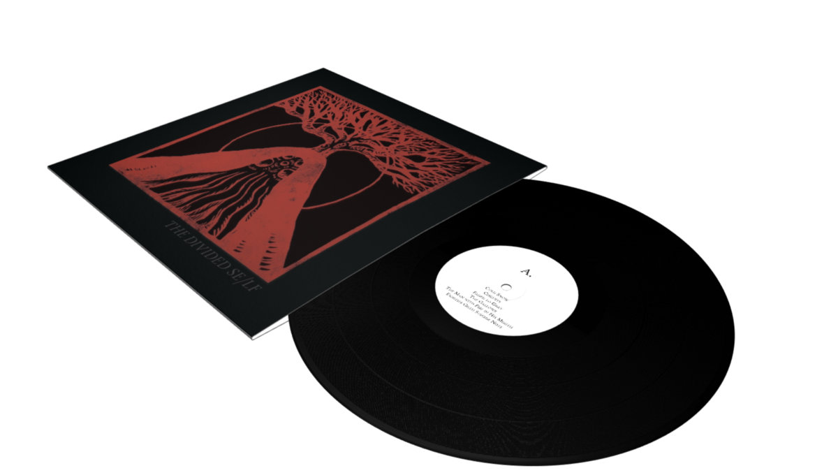 The Divided Self: An Anthology 12" Vinyl (crowdfunded) | This Cold Night