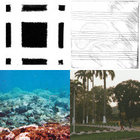 【レア】Eric la casa「secousses panoramiques」 a0167164789_5.jpg