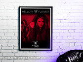 Helalyn Flowers 'Suicidal Birds' - Limited Edition Signed A3 300gr. Poster photo 