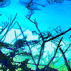 kidpandahands thumbnail