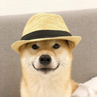 stella_by_strobelights thumbnail