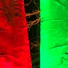 rubovia thumbnail