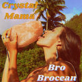 Bro Brocean image