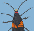 King Bug image