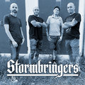 Stormbringers image