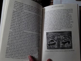 The Turning of the Wheel: The Eternal Cycle and its Phases (This book can be purchased ONLY VIA AMAZON, not here) photo 