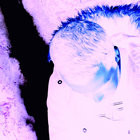 Aus Fenn thumbnail