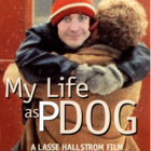 P Dog thumbnail