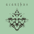 acanthus image
