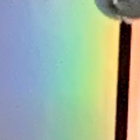 rosebud_ thumbnail