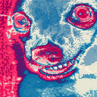 cacaomiracle thumbnail