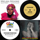 Joey Negro presents It's A Summer Groove | Z Records