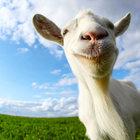 Moomincrow thumbnail