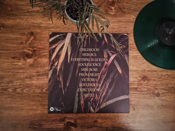 Limited Edition 12" LP, image 4