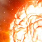 farfisafasolate thumbnail
