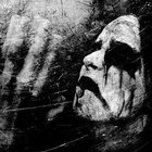M. thumbnail