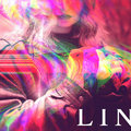 LIN image