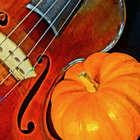 violinjenn thumbnail